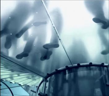 Maxime Business Transformation with Master Data Management | Video