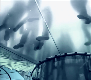 Maxime Business Transformation with Master Data Management | Video
